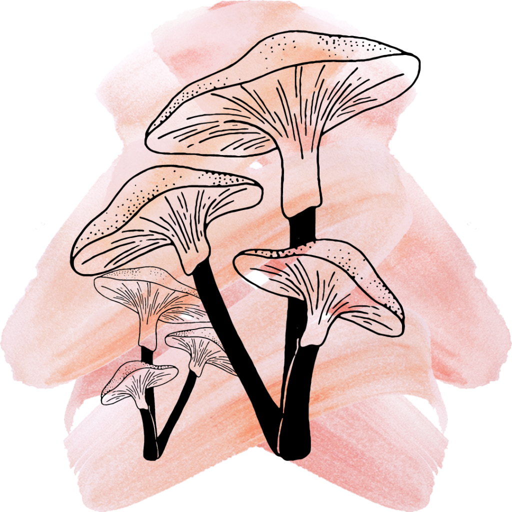 A drawing of mushrooms on top of pink paint strokes.
