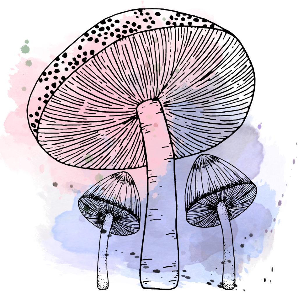 A drawing of mushrooms on top of pink and purple watercolor splatters.