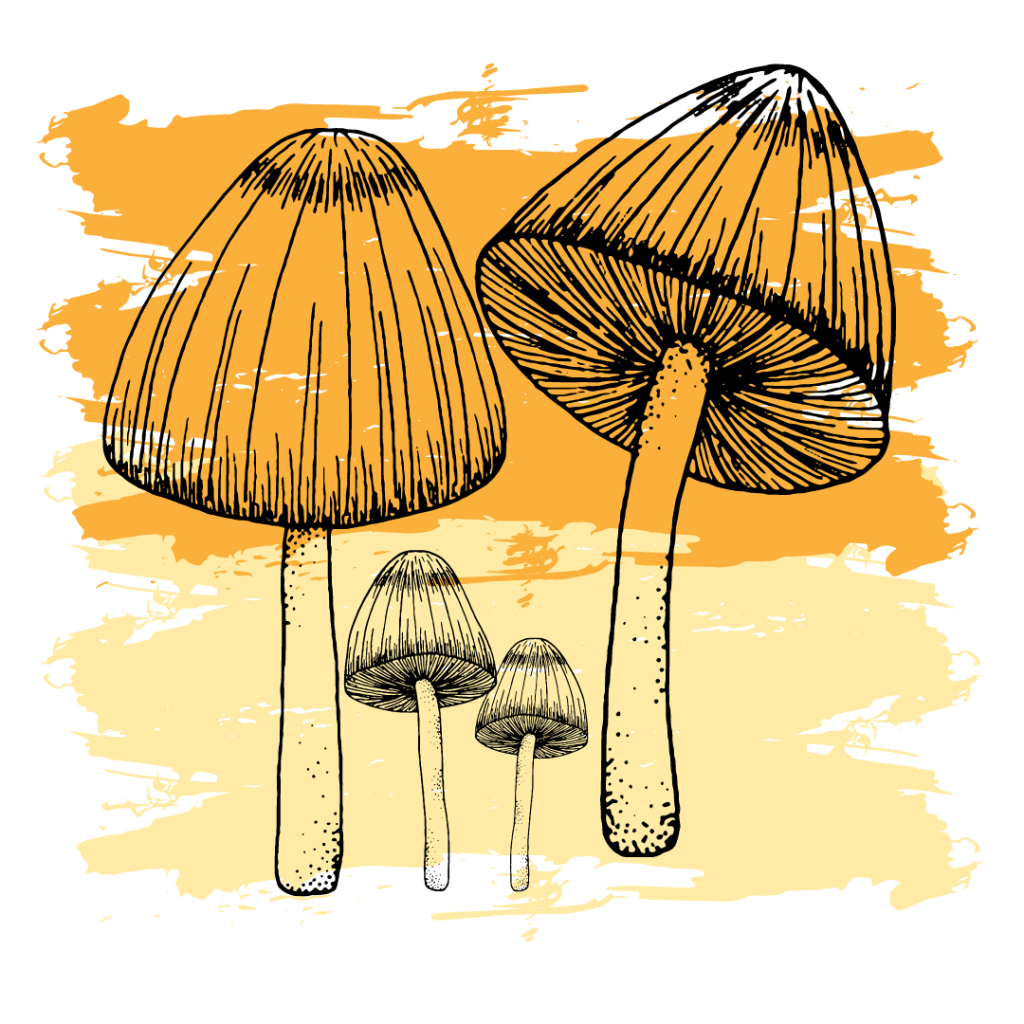 A drawing of mushrooms on top of orange and yellow paint strokes.