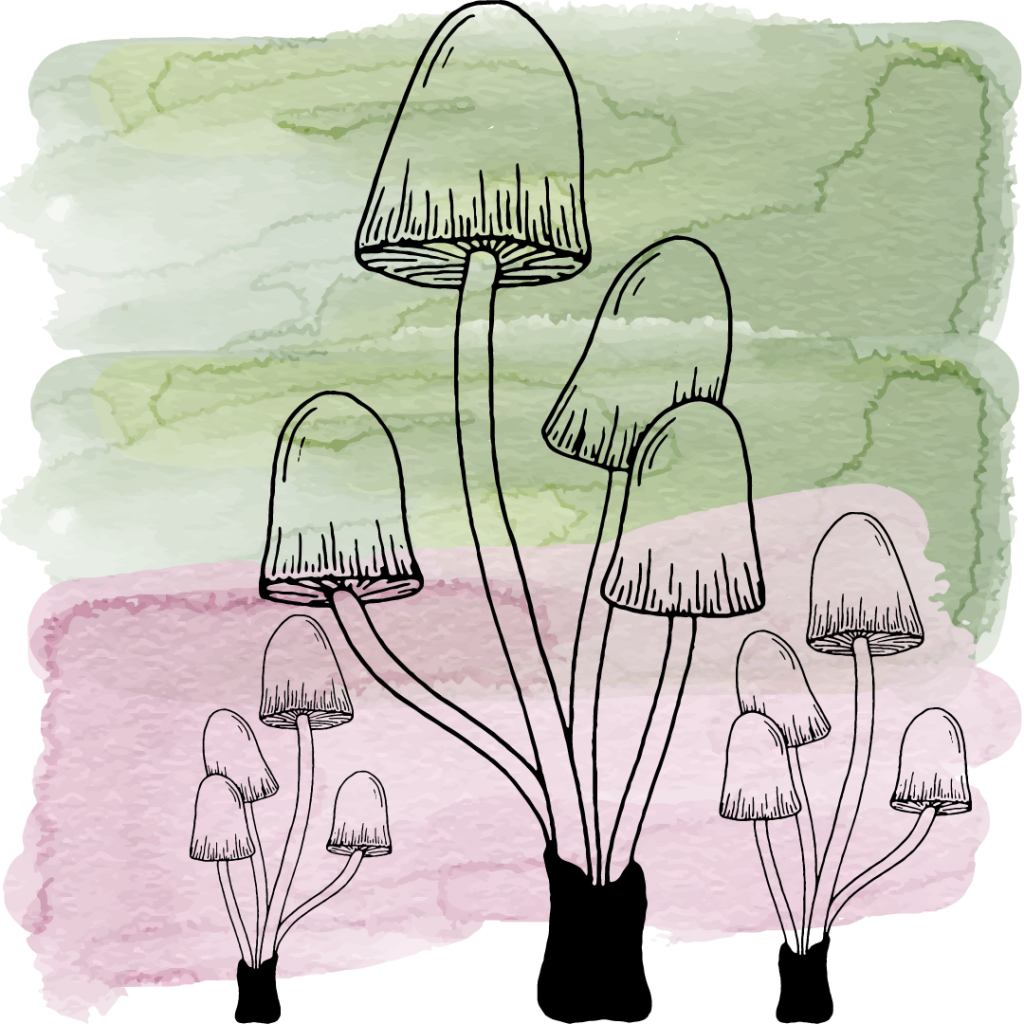 A drawing of mushrooms on top of green and pink watercolors.