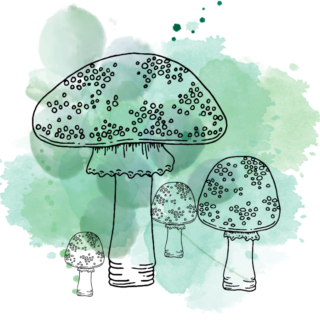 A drawing of mushrooms on top of green splatter paint.